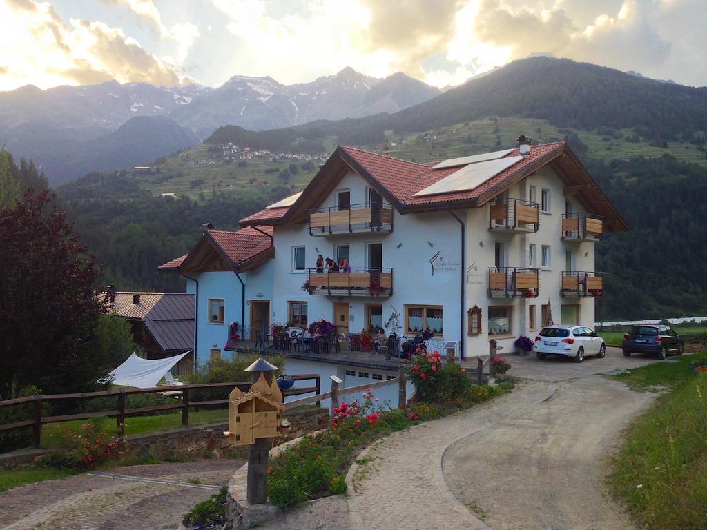 Baita Scaia Bed & Breakfast Cogolo Eksteriør bilde